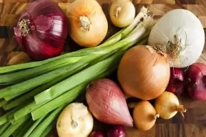 فوائد البصل للجسم