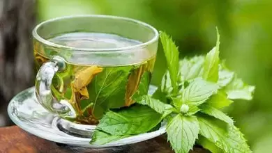 ماذا تعرف عن فوائد الشاي الأخضر للدهون؟