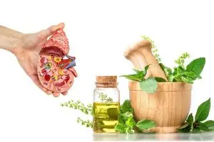 أعشاب لعلاج الم الكلى في المنزل