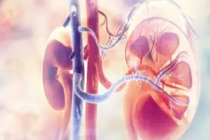 ما هي فوائد عملية زراعة الكلى؟