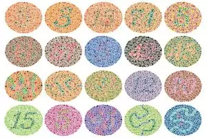 كيف يرى عمى الألوان؟