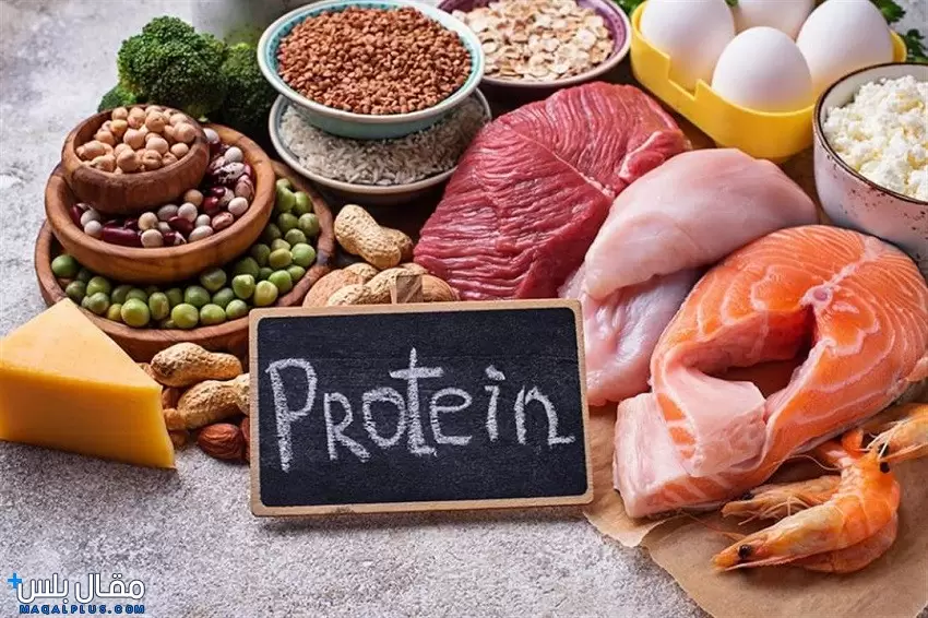 رجيم البروتين