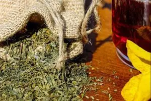 علاج هشاشة العظام بالاعشاب في المنزل