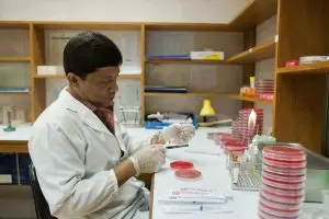 ما هو تحليل التيفود ؟