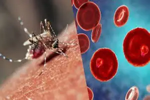 مرض الملاريا بالتفصيل، أسبابه واعراضه وعلاجه