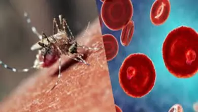 مرض الملاريا بالتفصيل، أسبابه واعراضه وعلاجه