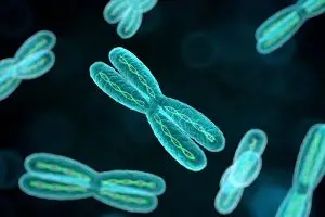 متلازمة كلاينفيلتر عند الذكور والعقم