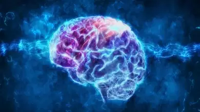 أسباب زيادة كهرباء المخ عند الكبار
