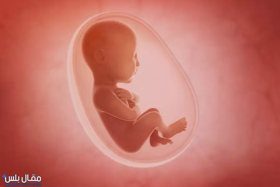 هل توقف نمو الجنين داخل الرحم خطير؟