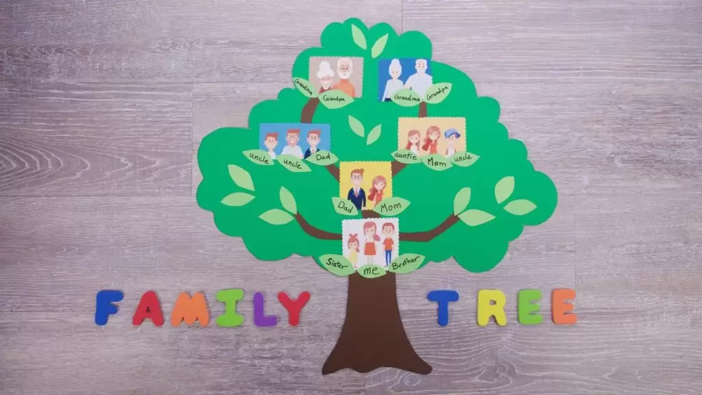 كيفية استخراج شجرة العائلة من دار الوثائق