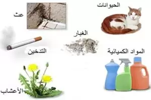 اسباب مرض الربو بالتفصيل