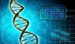 تحليل DNA سؤال وجواب