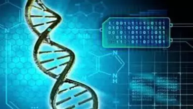 تحليل DNA سؤال وجواب