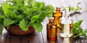 زيت شجرة الشاي